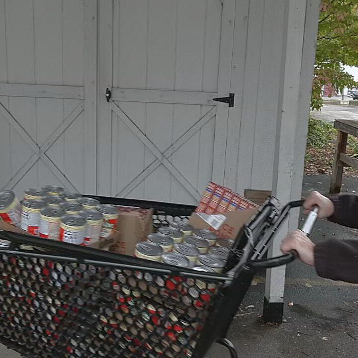 Indiana resident pushes cart with donated food